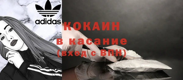 хмурый Дмитровск