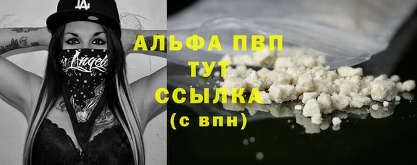 хмурый Дмитровск