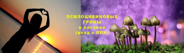 хмурый Дмитровск