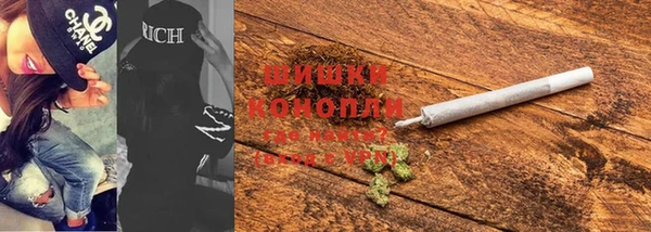 прущие грибы Ижевск