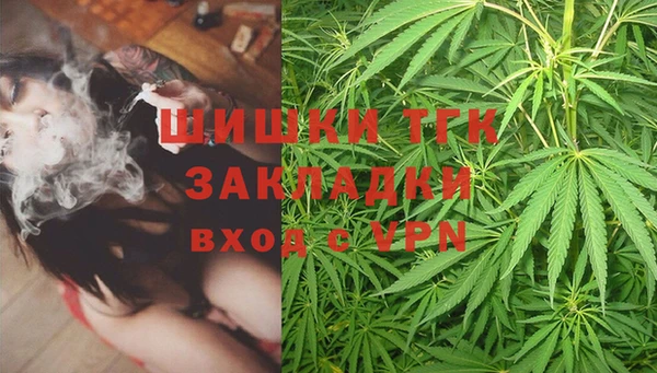 шишки Ельня
