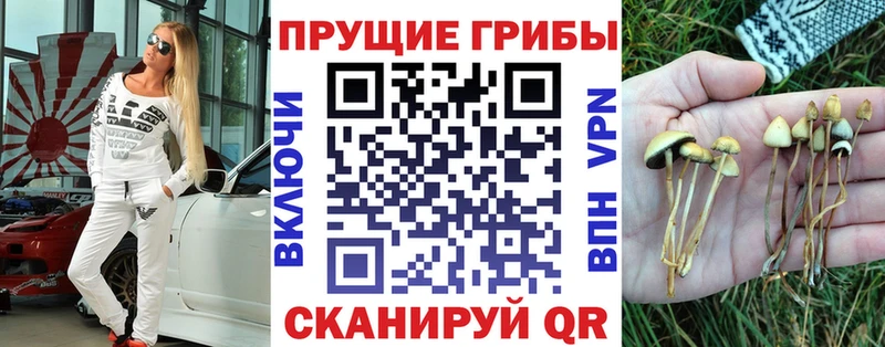 Купить закладки  Заволжск  Галлюциногенные грибы MAGIC MUSHROOMS 
